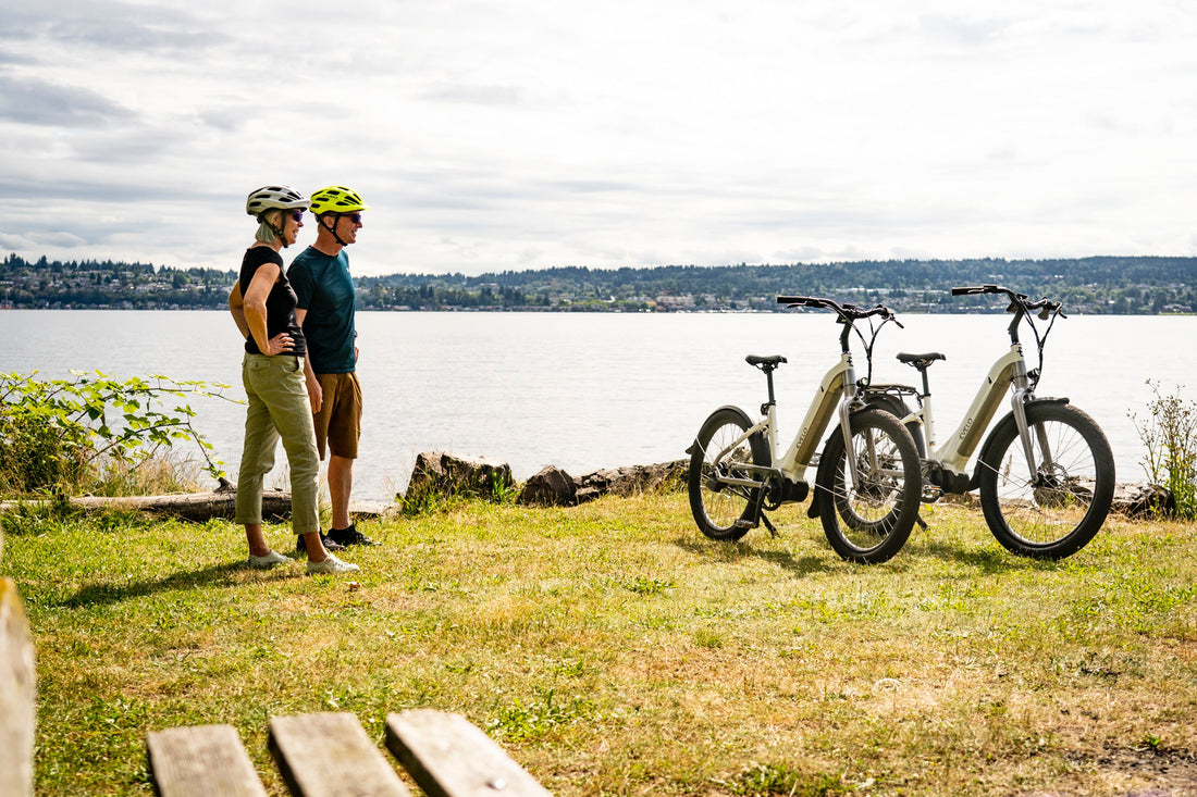 ELETRIC BIKE GUIDE