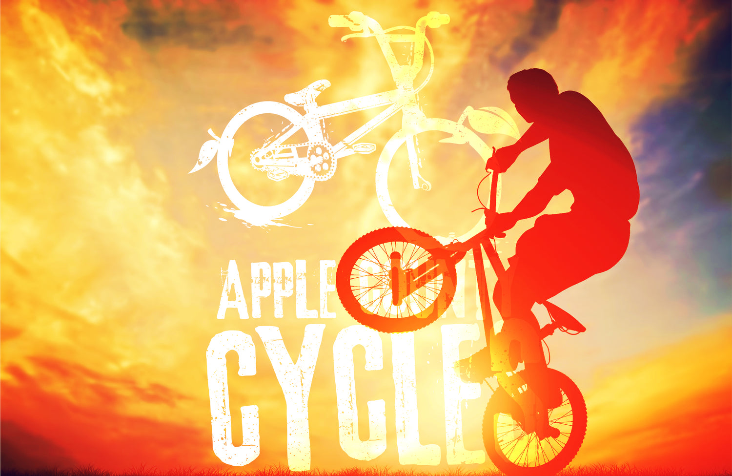 Silhouette of man on BMX against a red and yellow sunest in Apple County Cycles brand colours