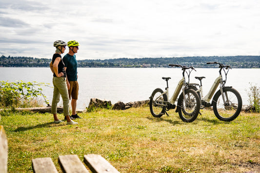 ELETRIC BIKE GUIDE